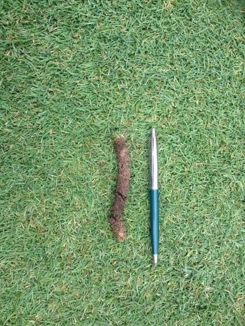 Manada golf club